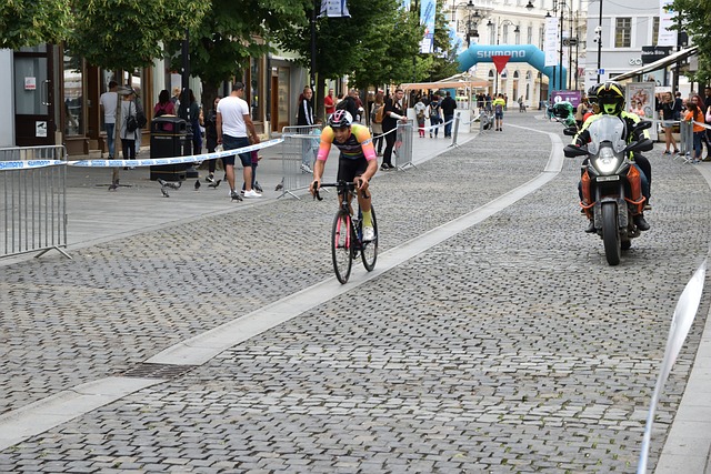 回归增添了 回归增添了