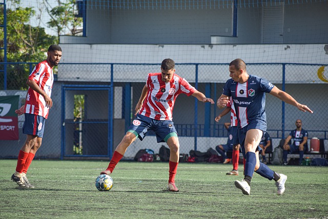 數據顯示 數據顯示