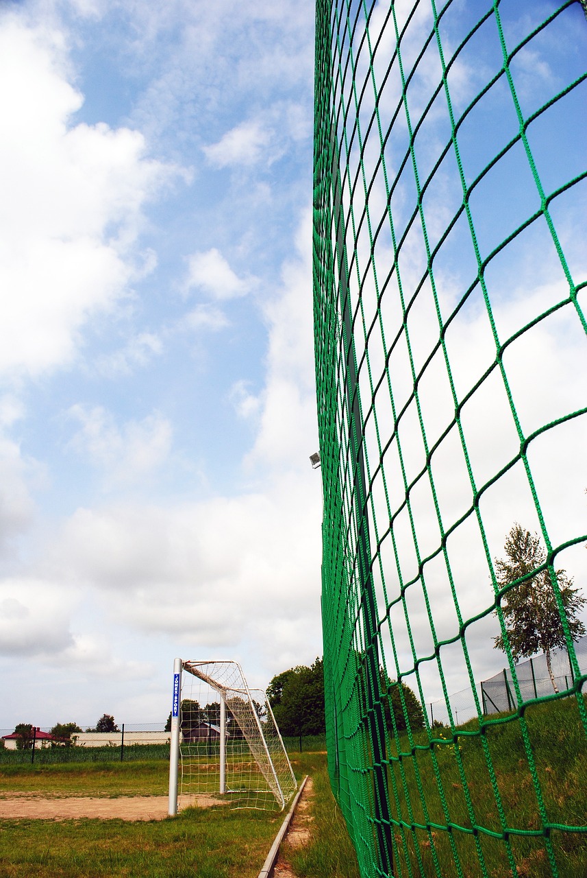 陈俊菘作为 陈俊菘作为