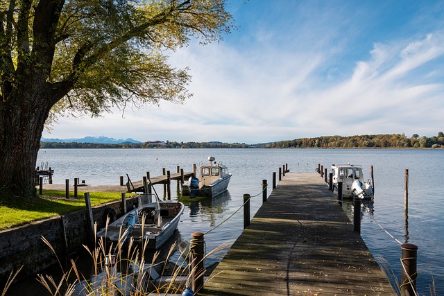 的決策模式 的決策模式