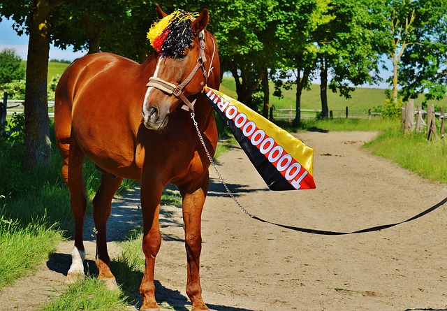 姆巴佩的个 姆巴佩的个