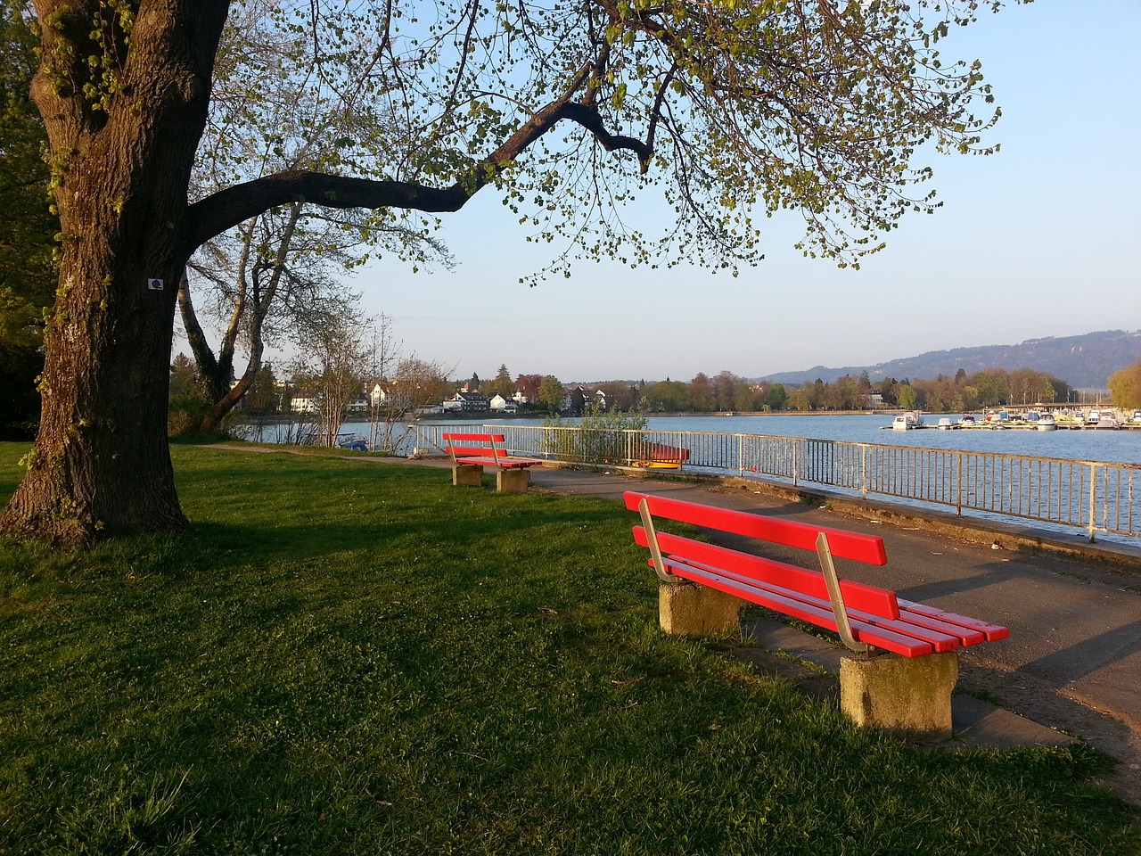 仿佛也被轻 仿佛也被轻